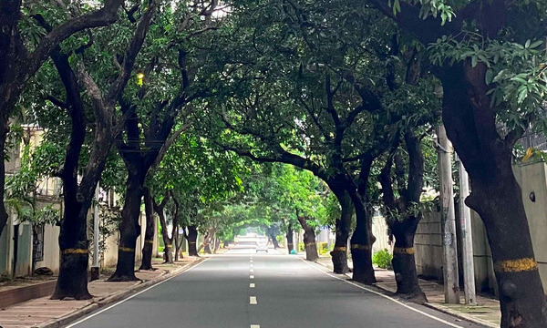 A neighbourhood well-paved street located in New Manila with trees and well-maintained sidewalks on both sides